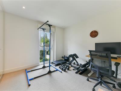 Picture 8